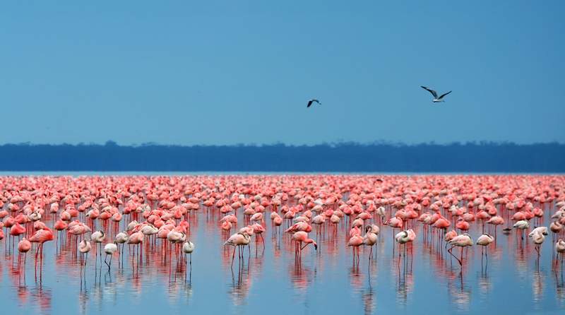 Lake Nakuru Sanctuary