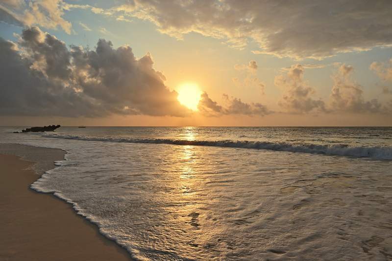 Watamu Coastal Expedition