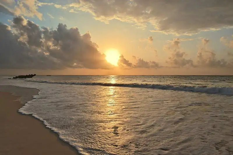 Watamu Coastal Expedition