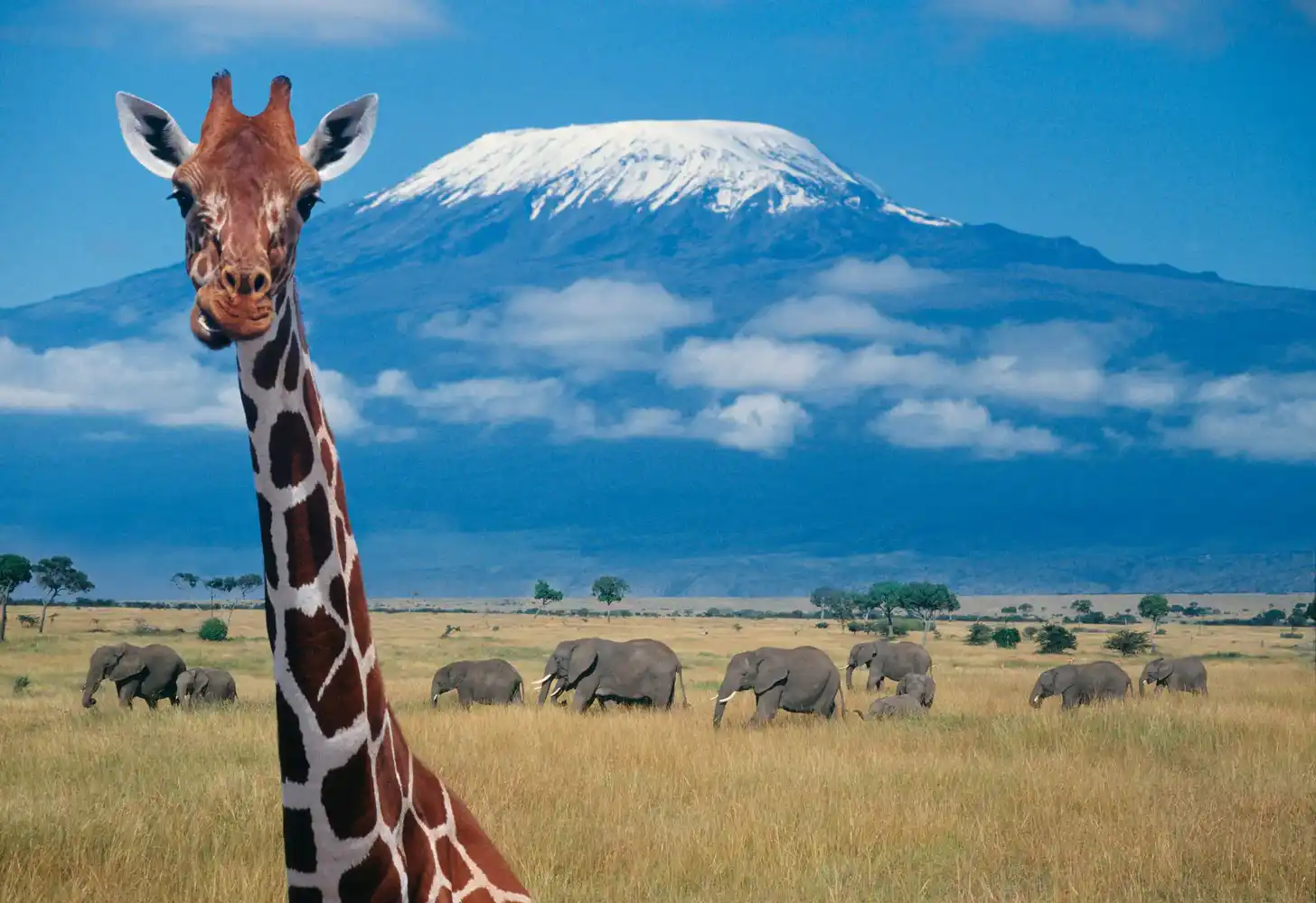 Amboseli National Park