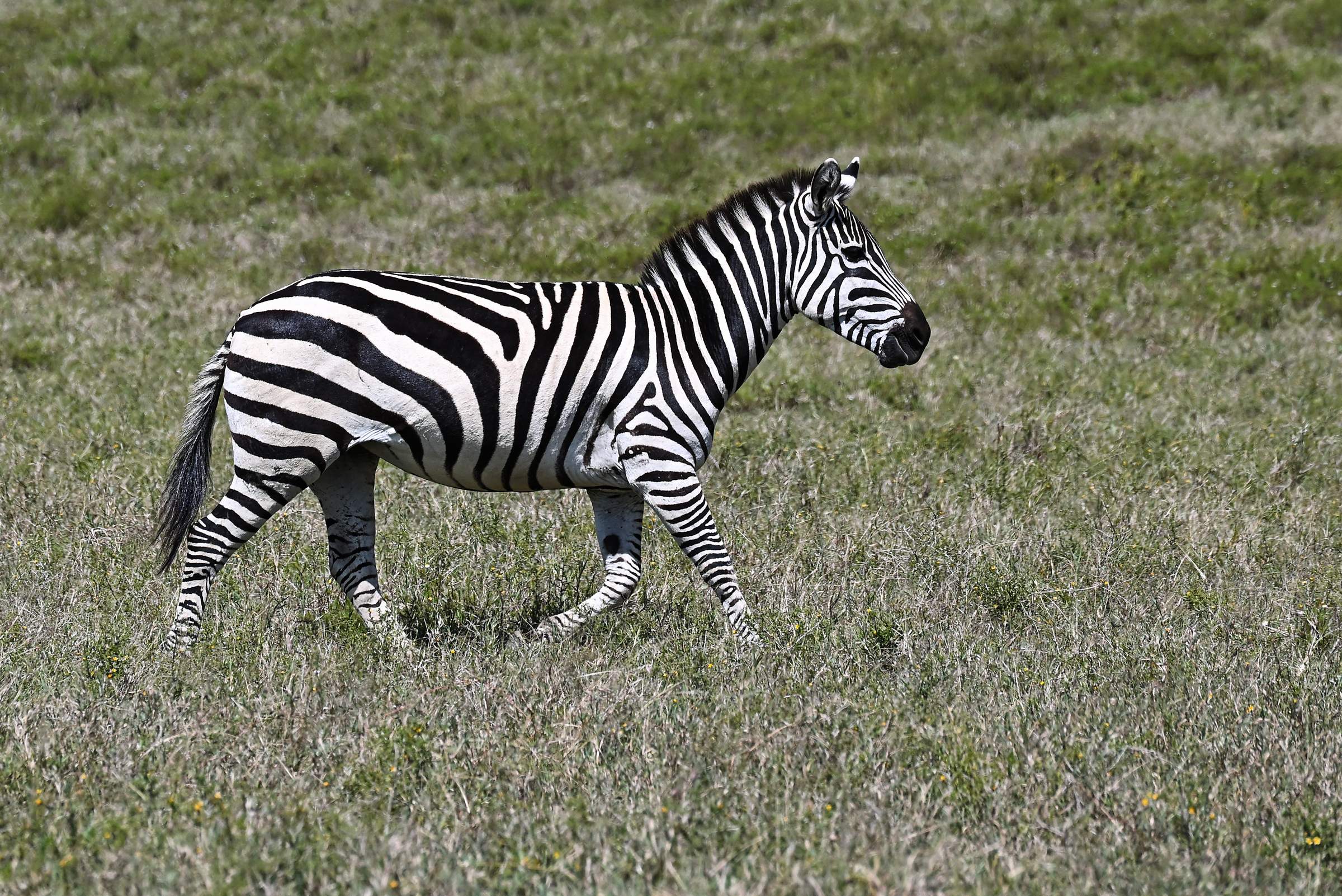 Hell’s Gate National Park