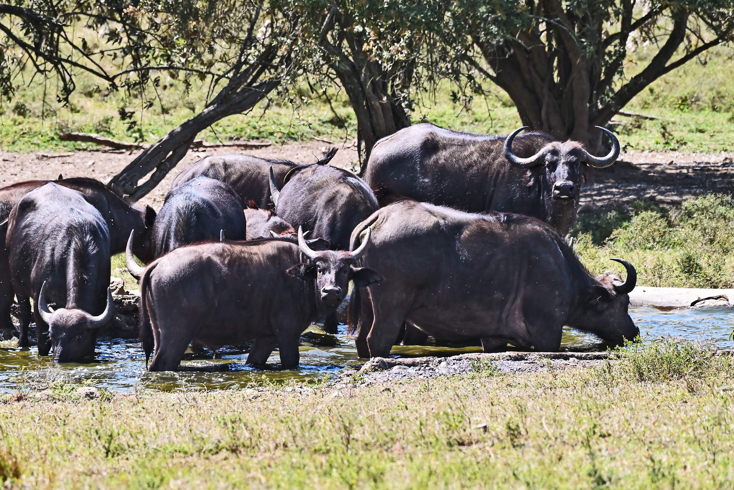 Hell’s Gate National Park