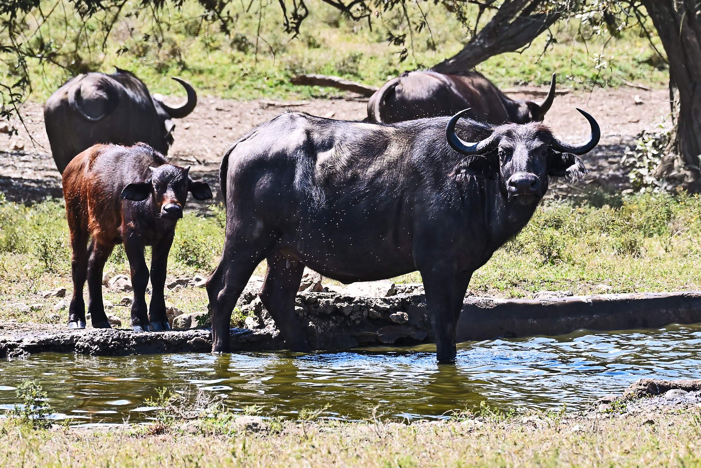 Hell’s Gate National Park