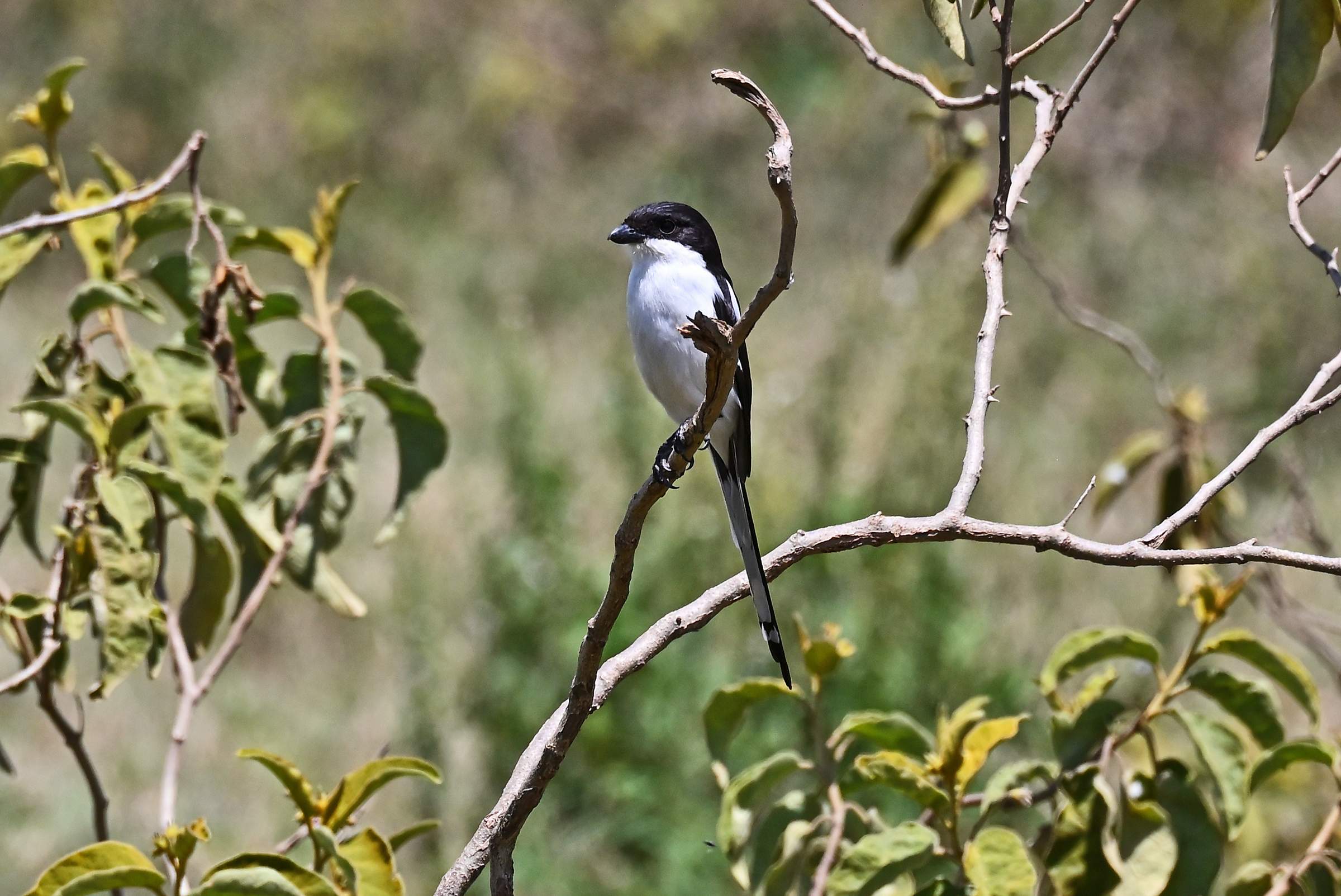Hell’s Gate National Park