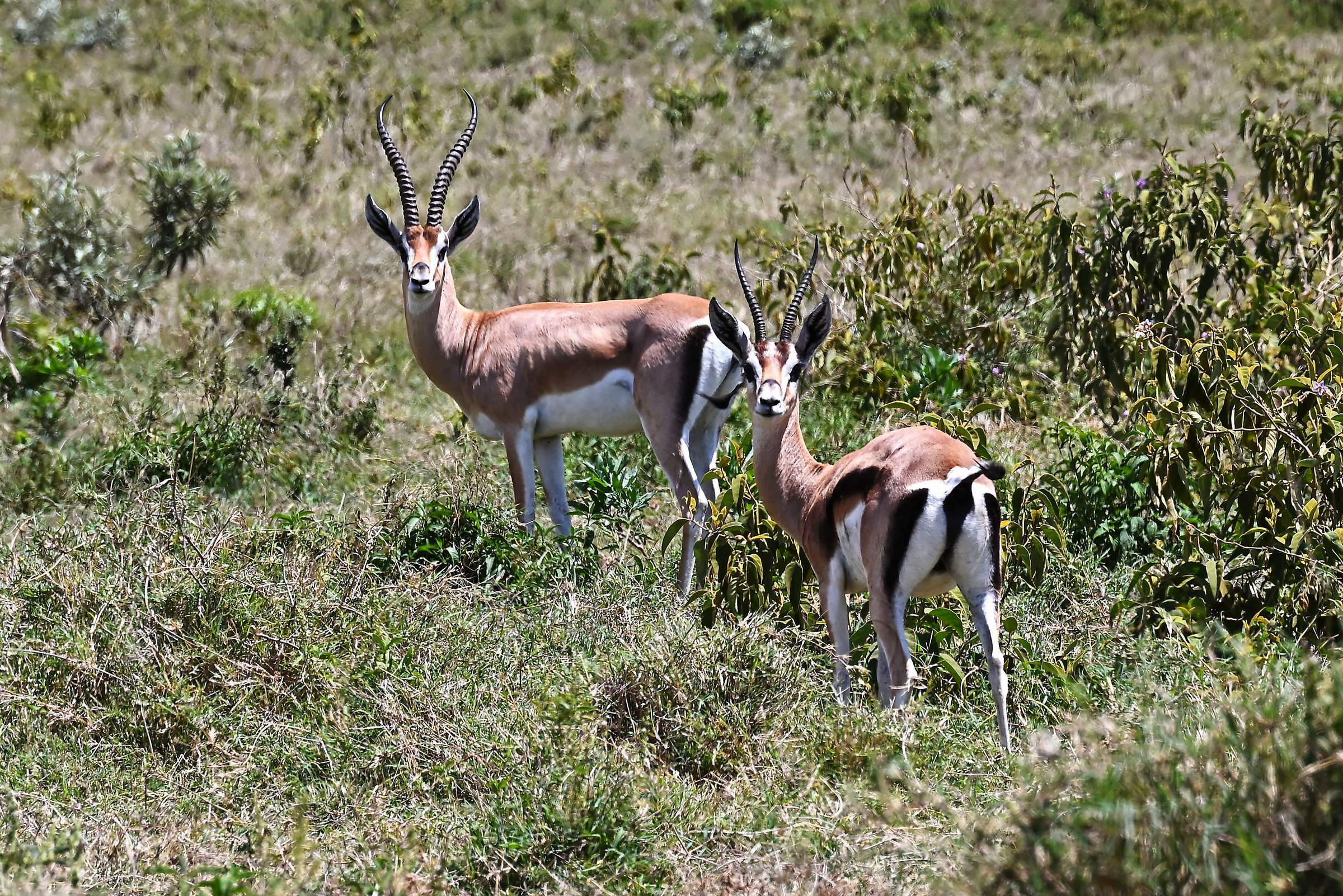 Hell’s Gate National Park