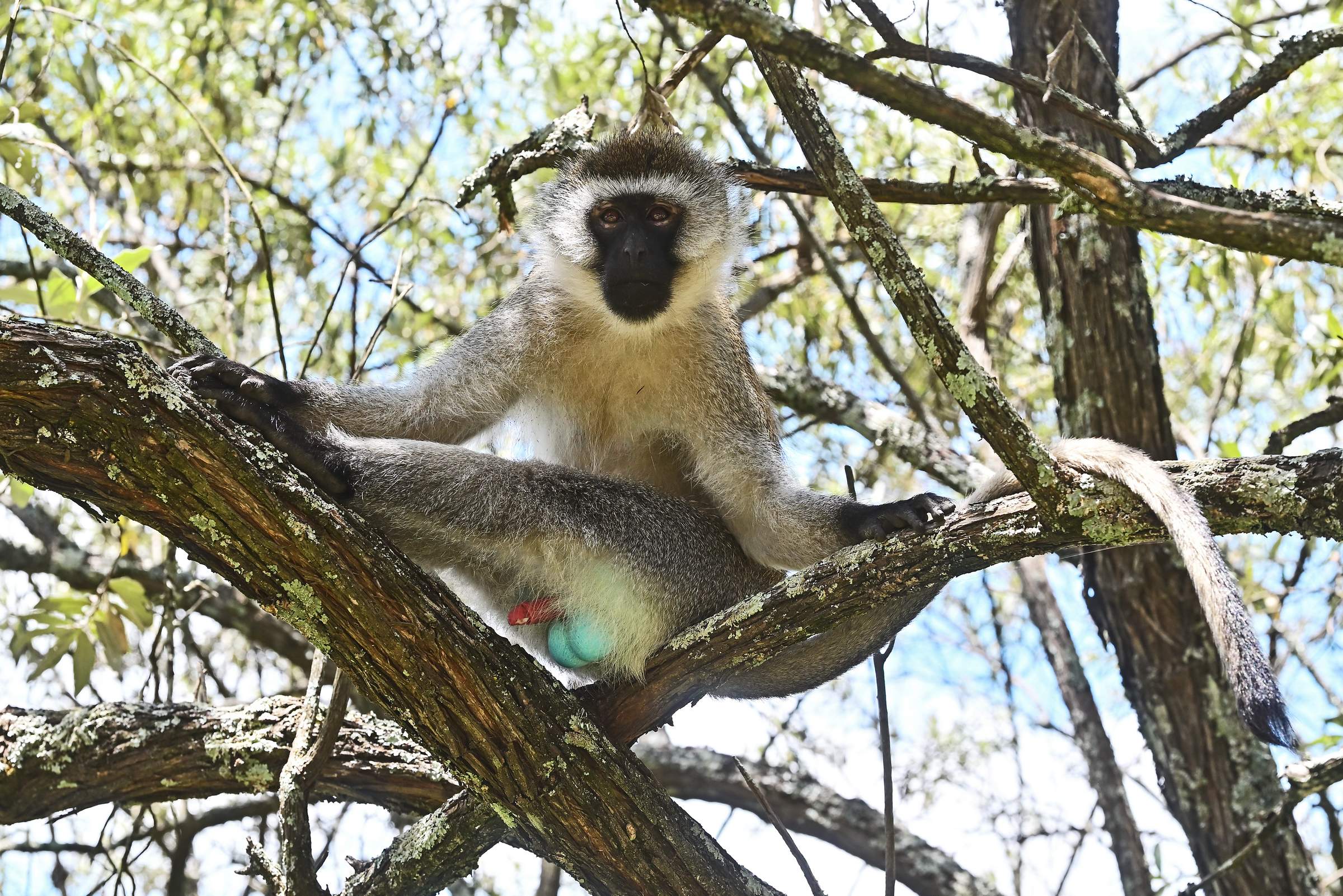 Hell’s Gate National Park