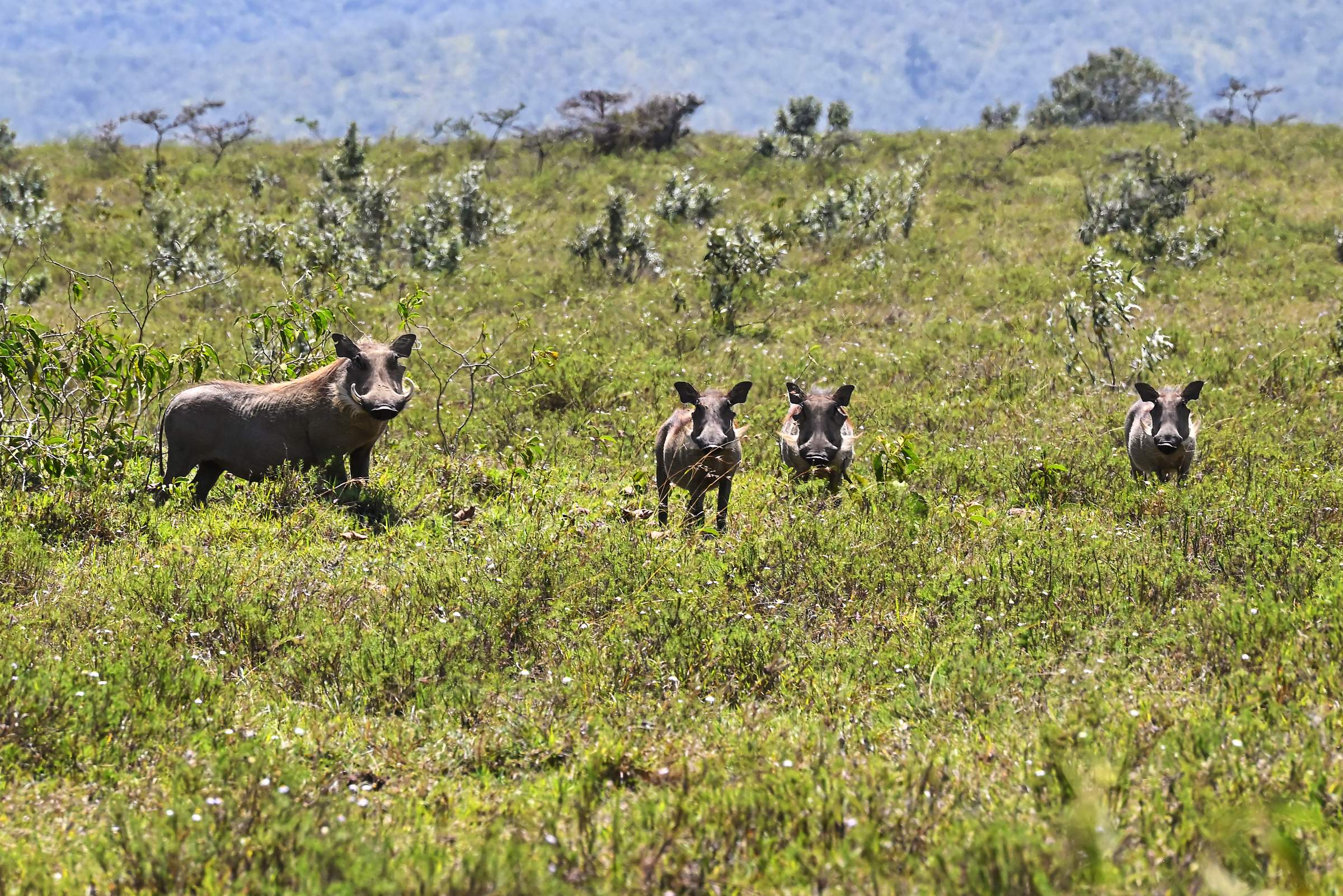 Hell’s Gate National Park