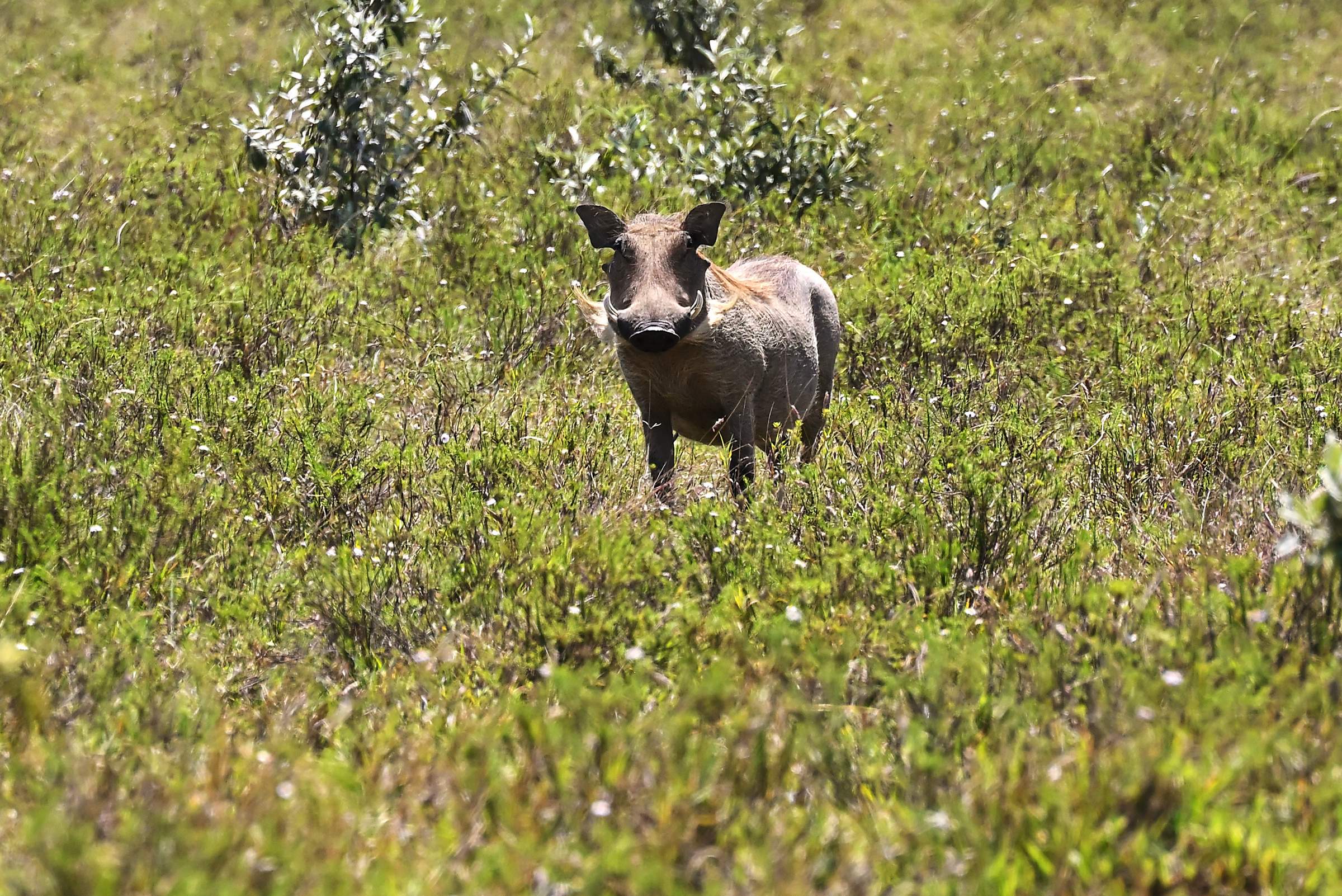 Hell’s Gate National Park