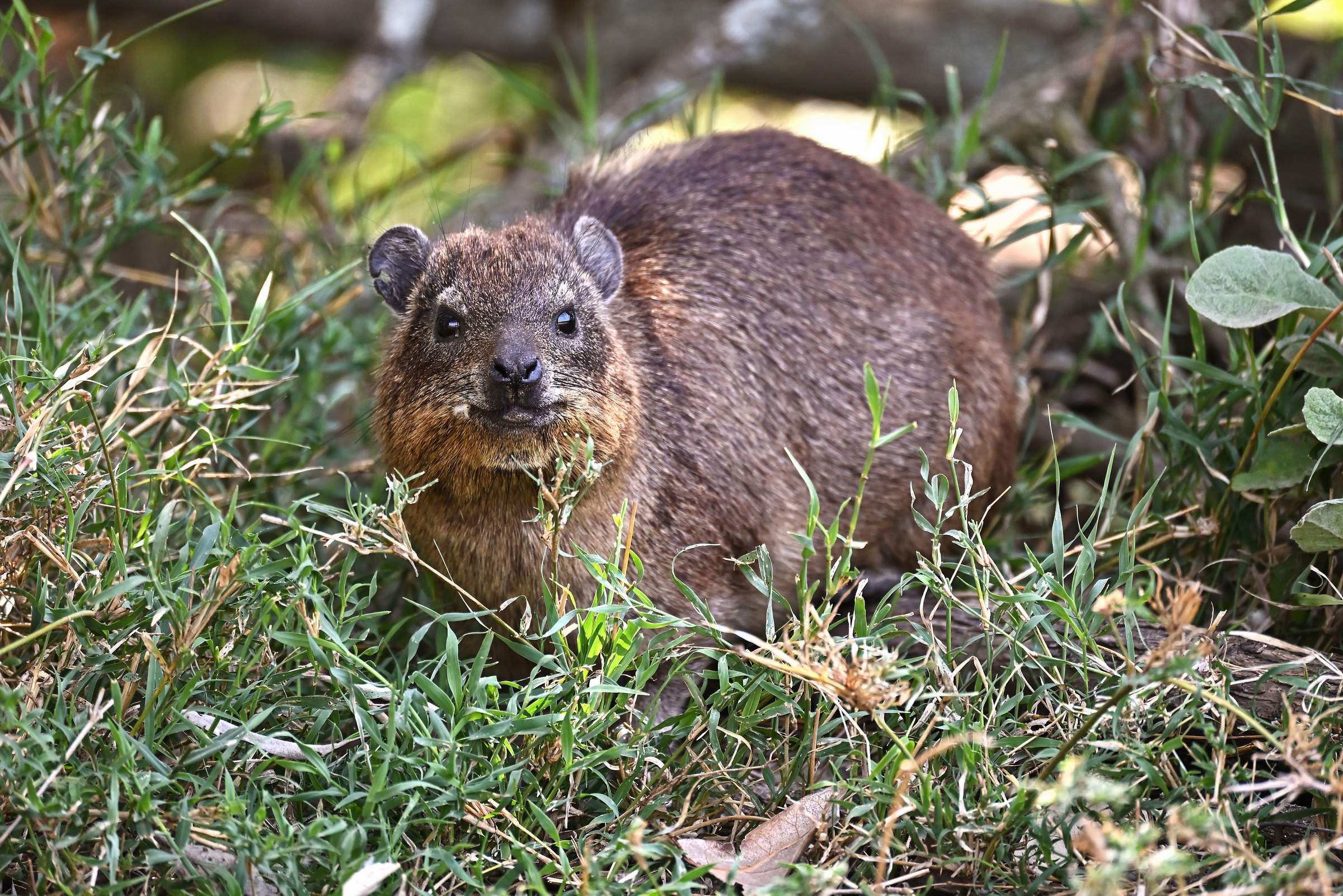 Hell’s Gate National Park