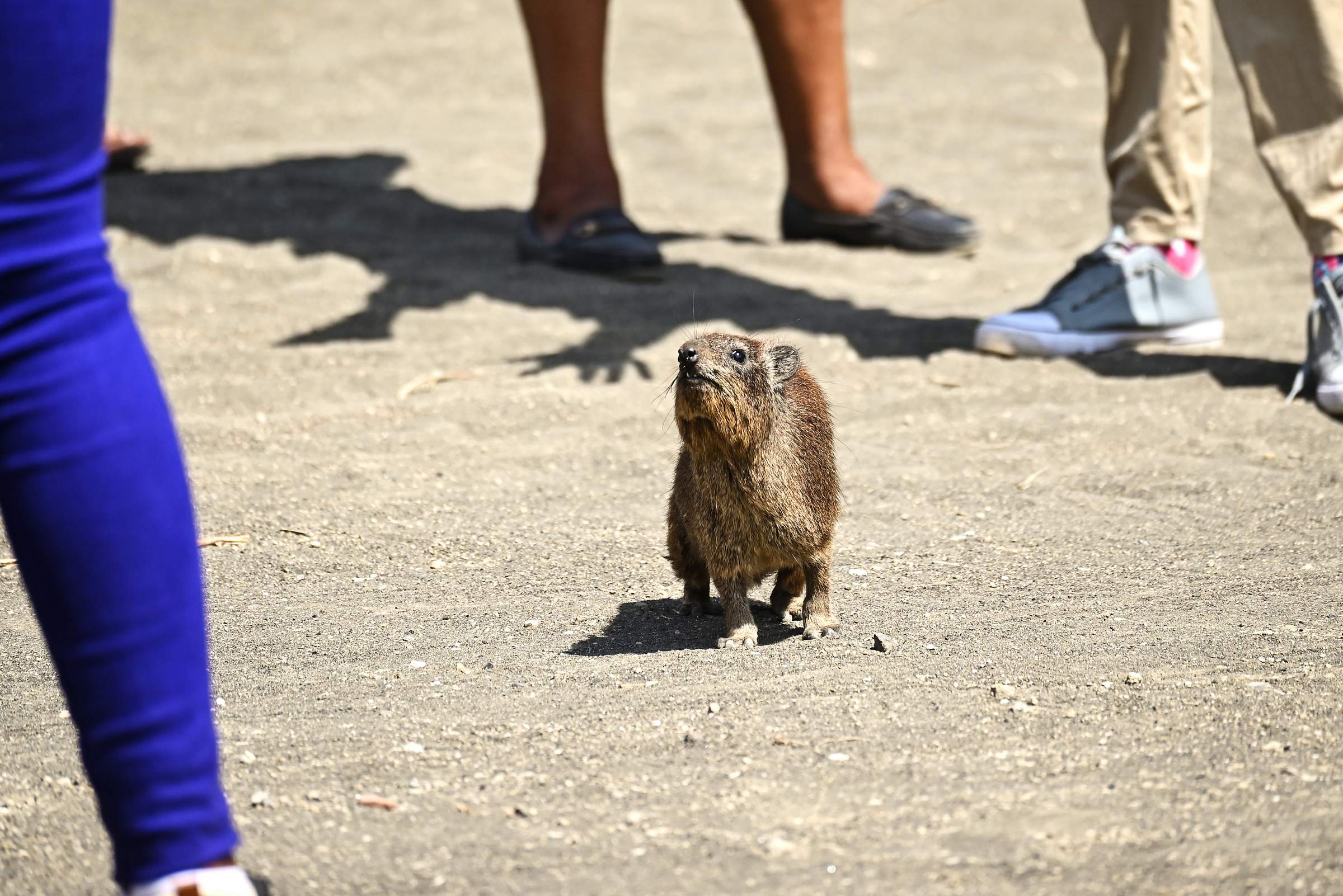 Hell’s Gate National Park