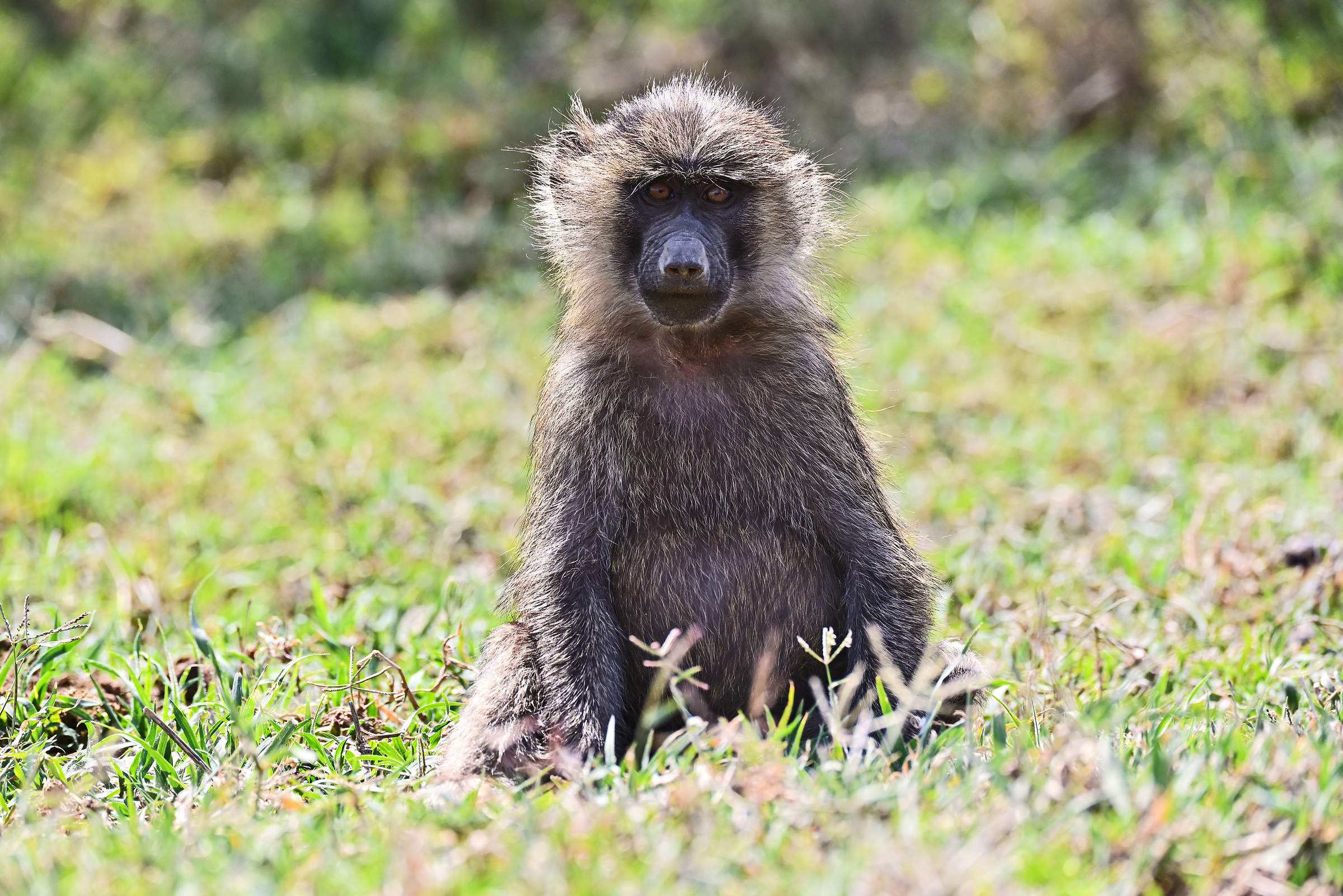 Hell’s Gate National Park