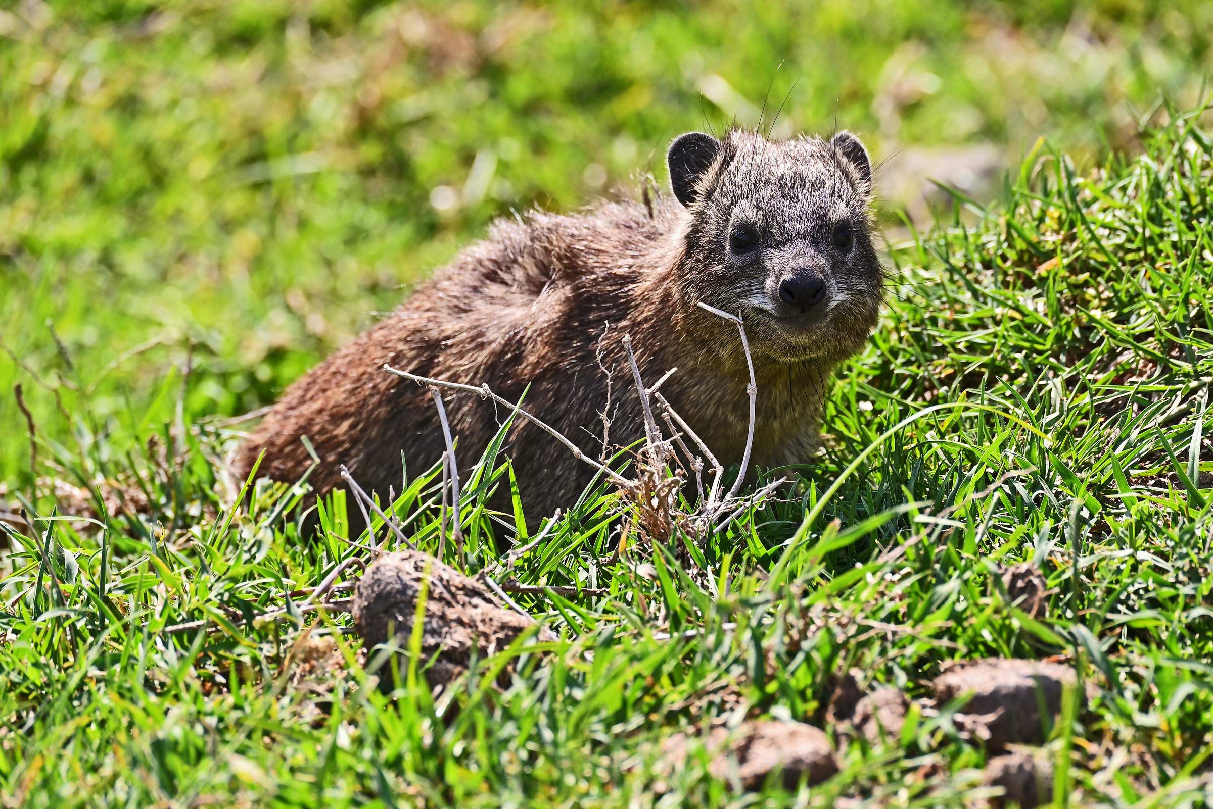 Hell’s Gate National Park