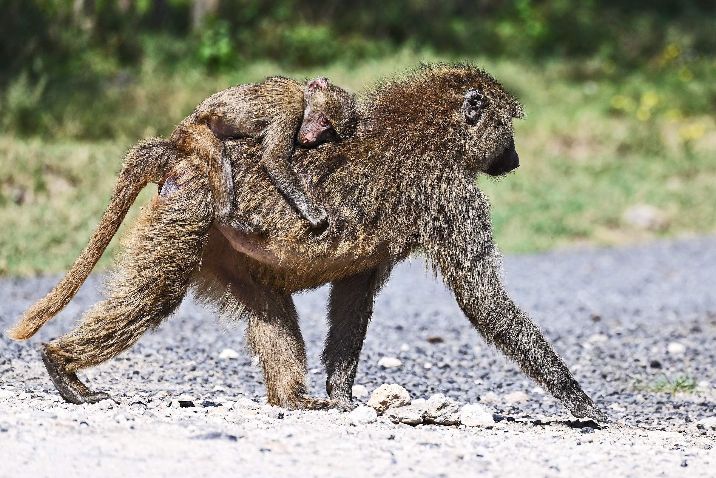 Hell’s Gate National Park