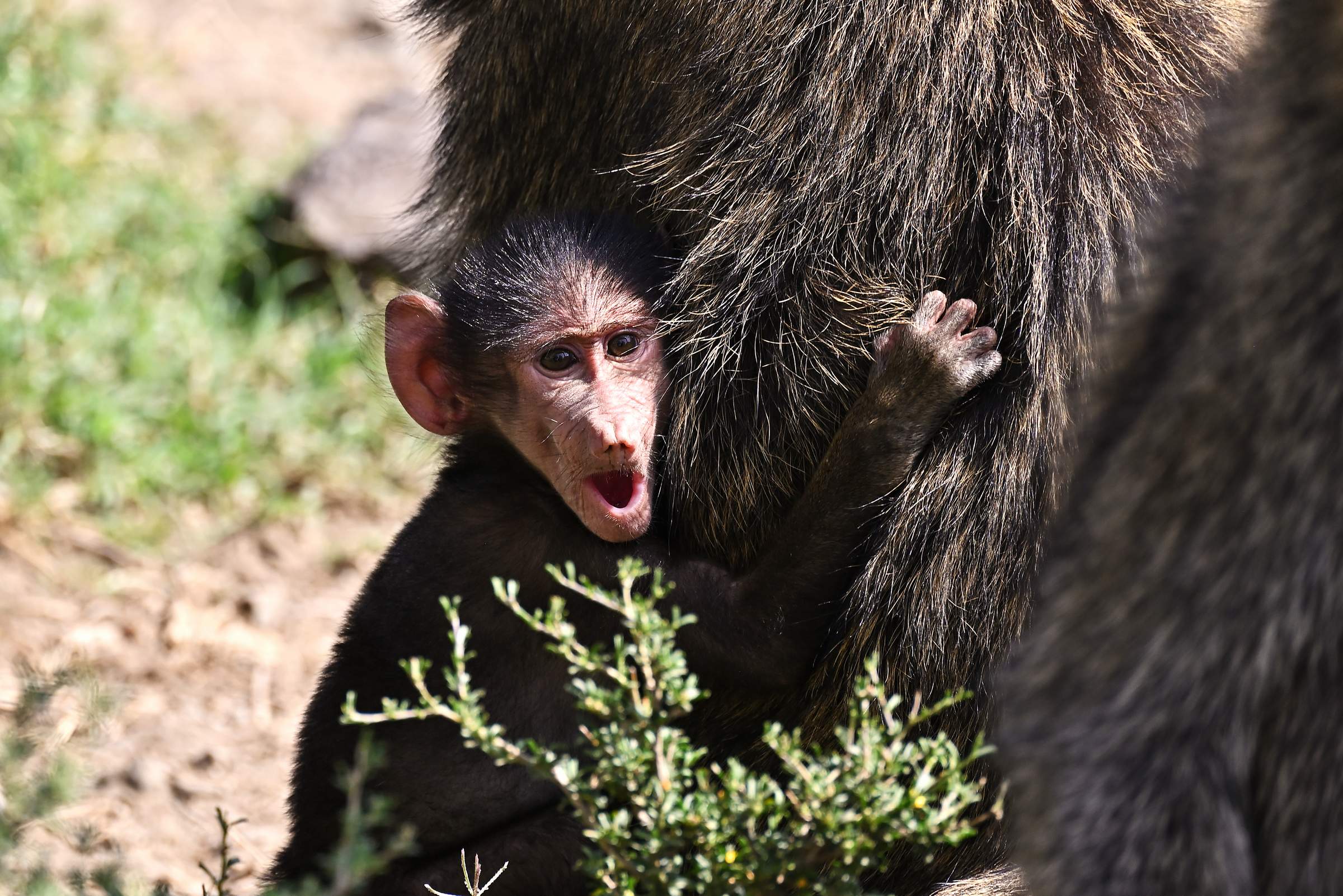 Hell’s Gate National Park