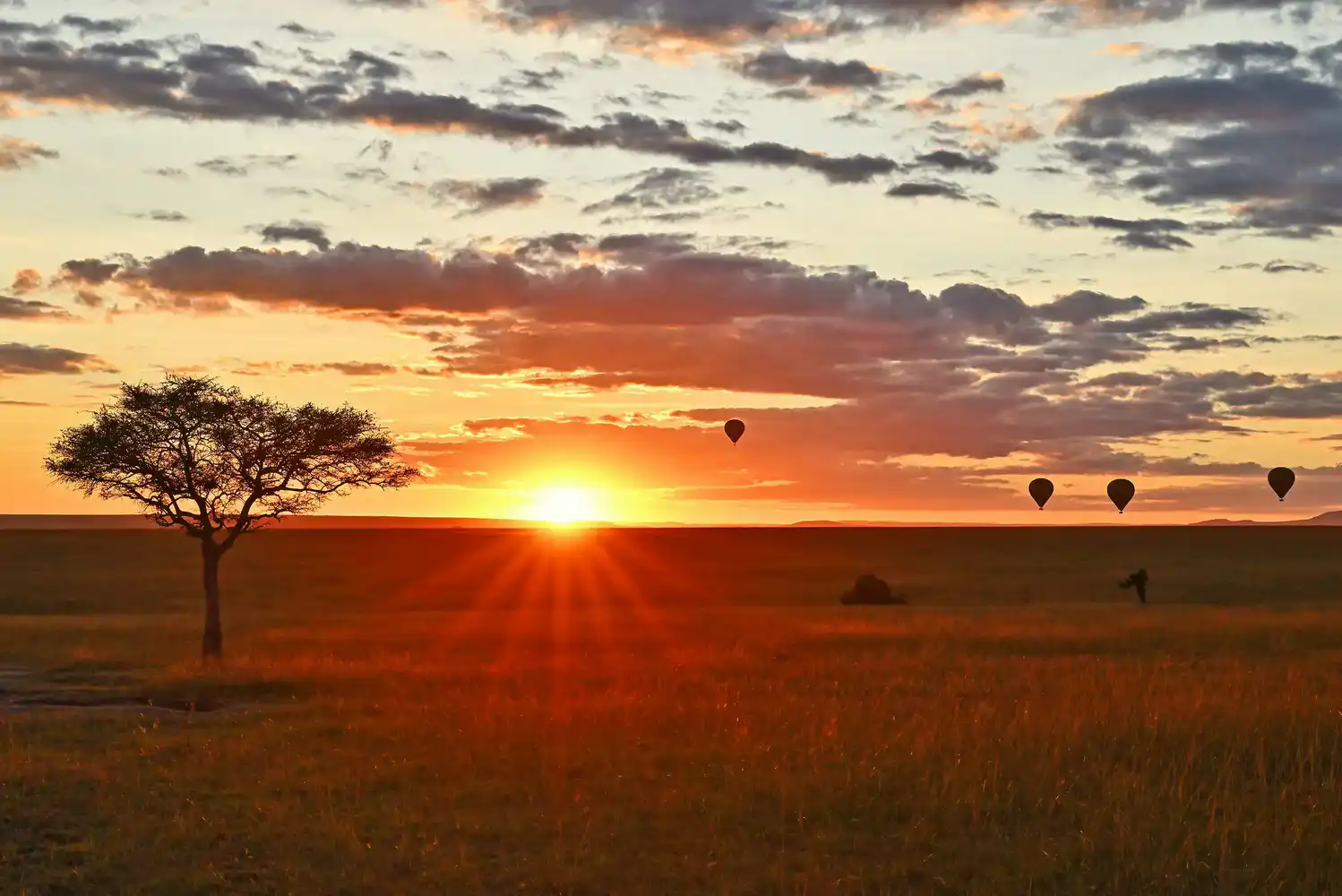 Maasai Mara