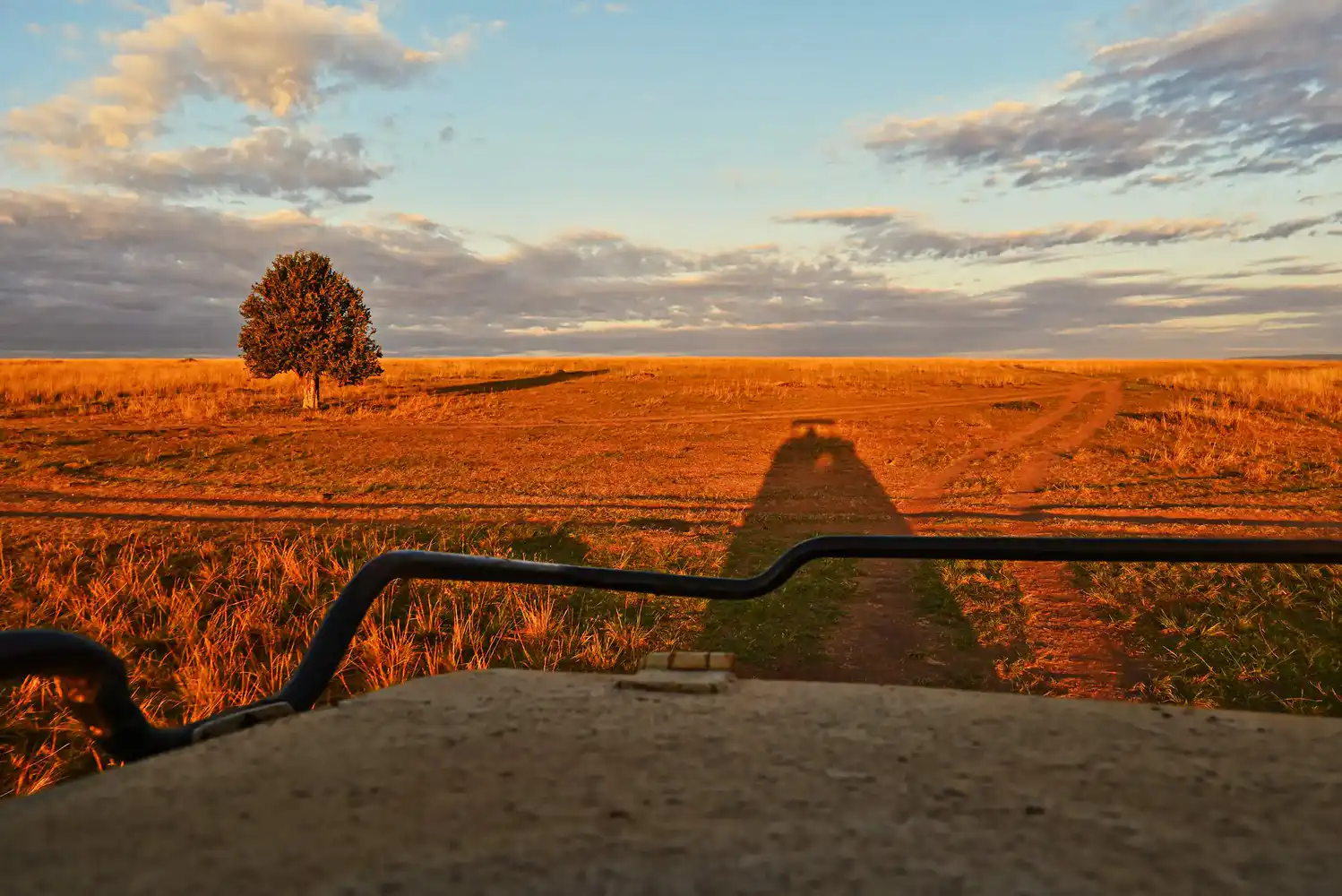 Maasai Mara