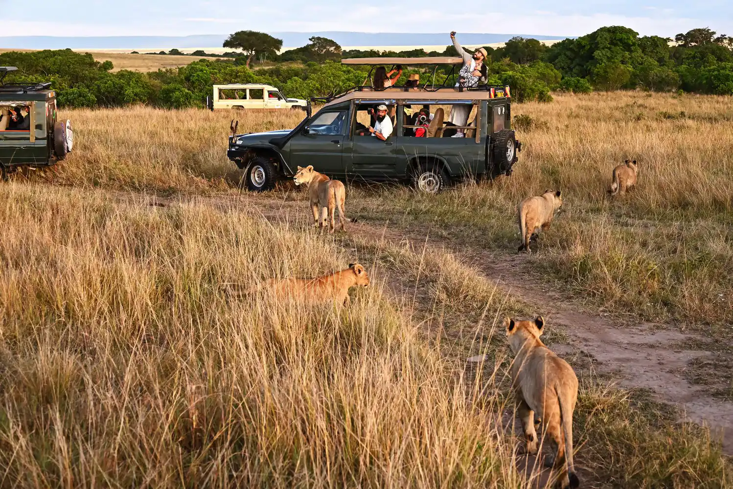 Maasai Mara