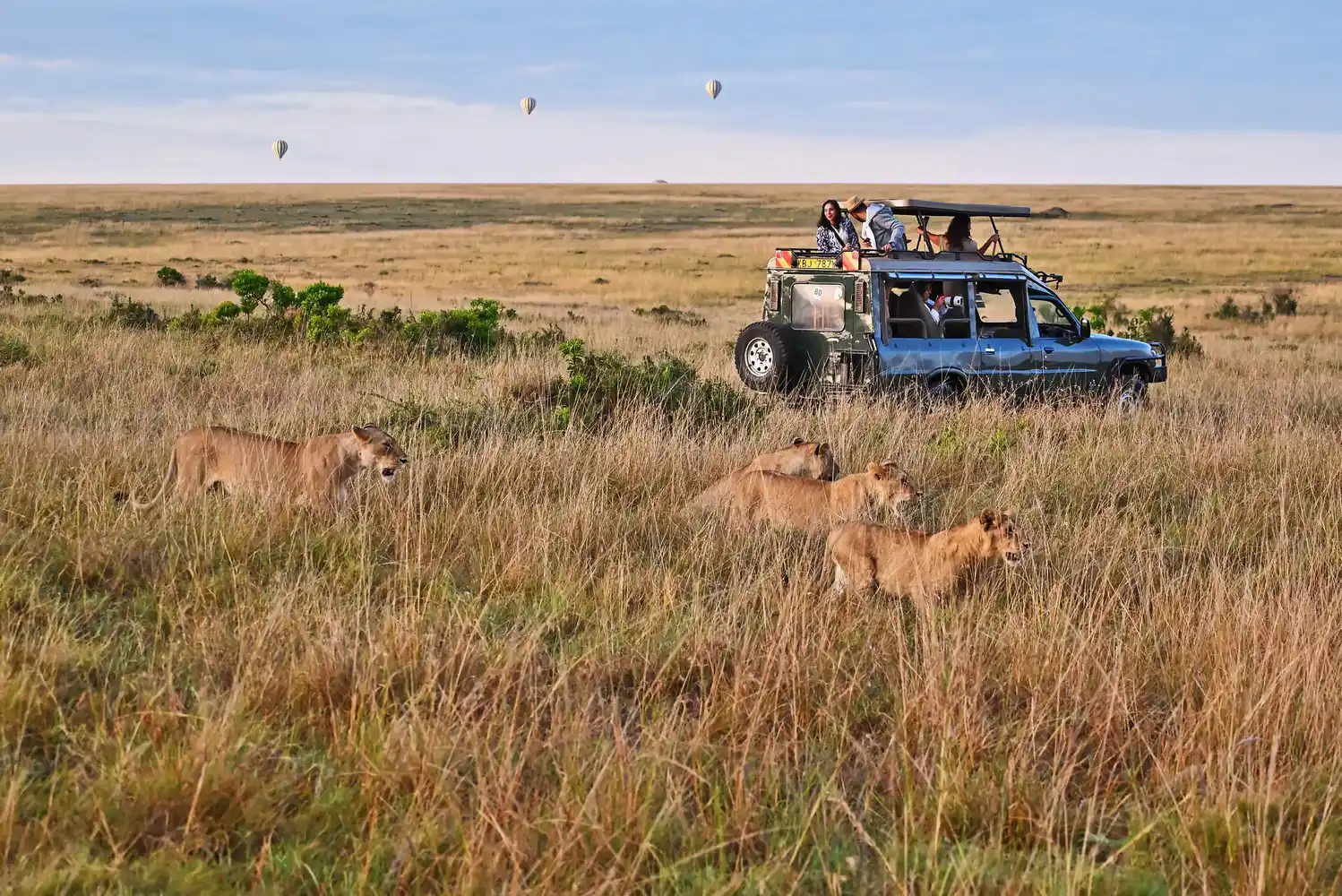 Maasai Mara