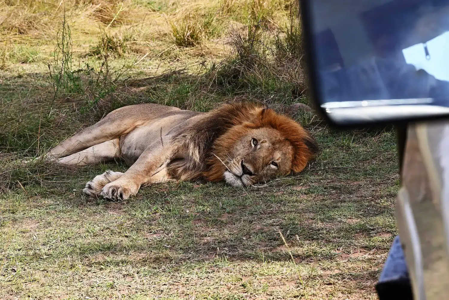 Maasai Mara