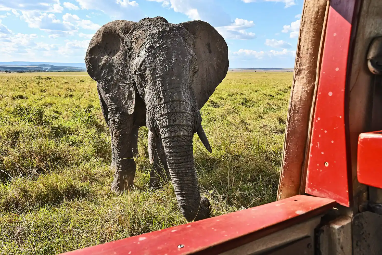Maasai Mara